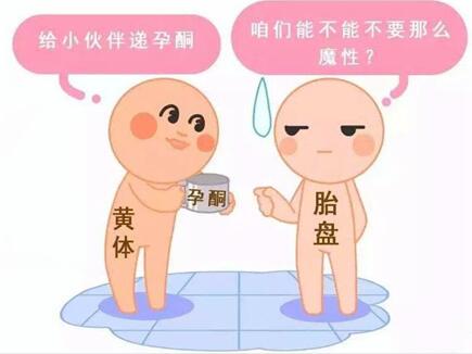 做试管婴儿因黄体生成素低该怎么办?一分钟教你处理方法!