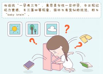 一孕傻三年是不是真的?一孕傻三年有科学依据吗?
