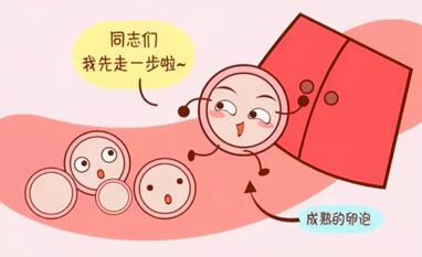 试管前怎样提高卵子质量?可以从这几个方面着手调理!