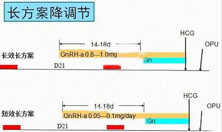 做试管采取超长方案促排对女性有哪些好处?