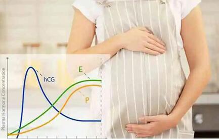 试管婴儿移植后多久能查出怀孕?三大前兆需要警惕!