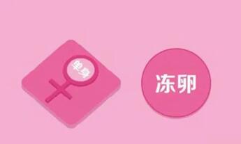卵子冷冻适合什么年龄段?25~35的卵子质量却是最佳的!