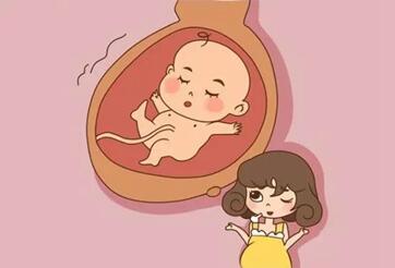 试管婴儿移植后会有什么反应?