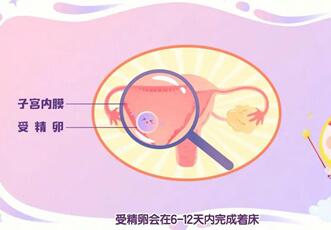 影响受精卵着床的原因有哪些?有这些感觉就要注意了!