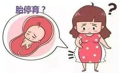 试管胎停是因为什么原因造成的?一定要注意了!