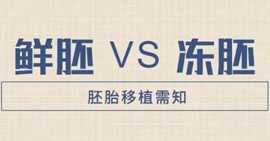 冻胚移植有哪些好处?提高移植成功率是其一!