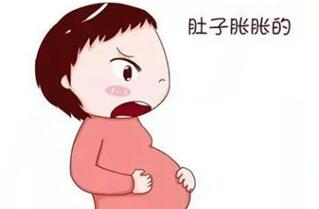 移植后肚子胀胀的是怎么回事?了解之后心不慌了!