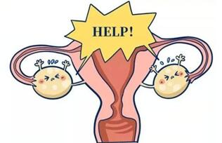 排卵障碍能自然受孕吗?排卵障碍做试管有效果吗?
