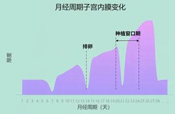 子宫内膜厚度24mm正常吗?没达到就不能移植吗?