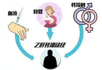 婚检查到有乙肝病毒携带者先怀孕了对胎儿有影响没?