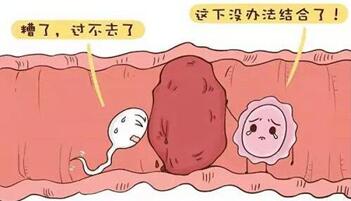 输卵管疏通后多久可以怀孕要孩子?