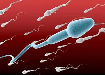二代试管对精子活力的要求,对精子存活率低的男性的相关建议!