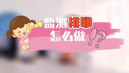 想要怀孕,备孕有必要监测排卵吗?