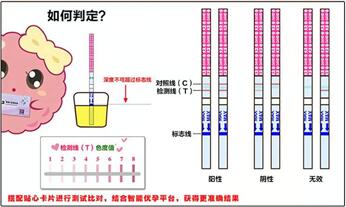 排卵试纸有什么作用?这个作用大部分人没想到!