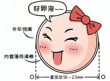 如何判断卵子质量好坏?提高卵子质量的方法!