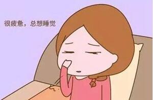 移植后犯困是什么原因?和胚胎发育真没关系!