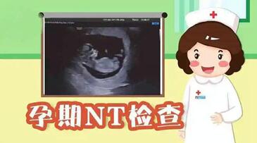 孕12周nt值看男女真的有高达85%的准确率吗?