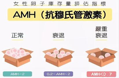amh低于0.06还能做试管婴儿吗?试管前这样做让你成功率更高!