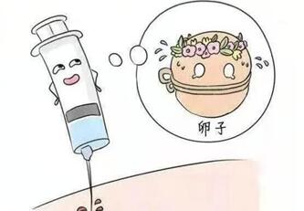 试管促排时为什么不用雌激素促排卵?影响体内激素平衡只是其中之一!