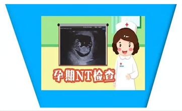NT检查是看胎儿染色体是否异常?NT检查看男女有多准?