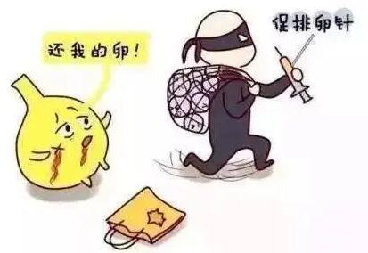 做试管婴儿打排卵针是打哪里?促排卵针时间怎么决定?