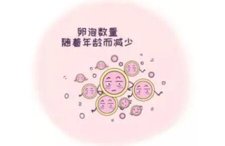 基础卵泡数量与年龄对照表,卵泡数量越少自然怀孕率越低!
