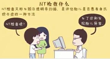 nt检查是什么检查项目?NT是检查大排畸还是小排畸?