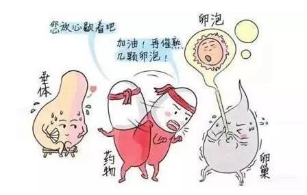 降调后卵泡不均匀是什么原因?请仔细阅读这三点!