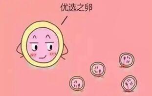 试管促排卵泡大小不均匀如何补救?这4个补救方法才是关键!