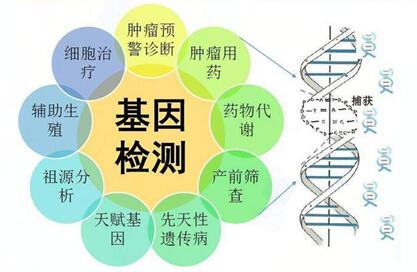 备孕前进行基因检测的目的和意义是什么?试管婴儿基因检测真的很重要!