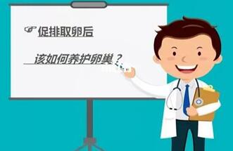 取卵后怎么保养卵巢?小心会造成卵巢早衰!