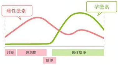 试管进人工周期对内膜和激素有要求,负则影响移植效果