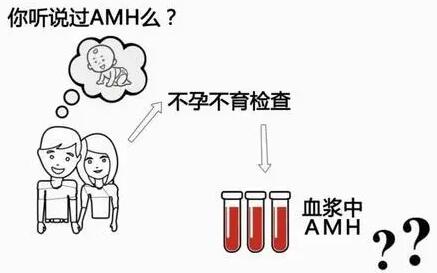女性AMH值偏高怎么回事?了解清楚才能安心