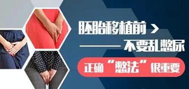 胚胎移植术前如何合理憋尿,同时对憋的量也有要求