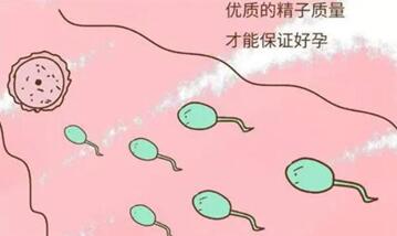 用精神病人的精子做试管婴儿能生下健康小孩吗?听听专家怎么说