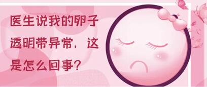 卵子透明带异常怎么办?试管技术助你实现生育梦