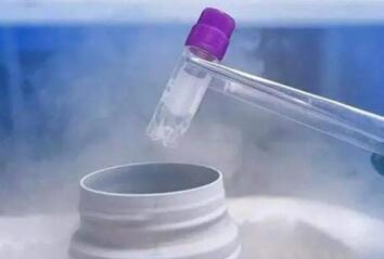 试管冻精子和鲜精的差距真不小,成功率由精子的质量决定