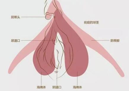 如何提高产后阴蒂的敏感度?产后多久可以开始