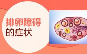 排卵障碍性不孕症怎么办?不妨试试这几招