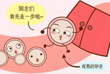 卵泡发育不好能做试管吗?卵泡发育不好怎么治