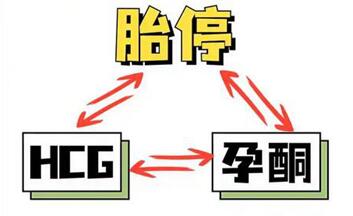 刚怀孕HCG低孕酮高,这意味着什么