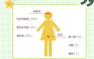 性激素六项查的是什么?性激素六项检查费用多少钱