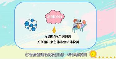 无创DNA和无创DNA-PLUS的区别