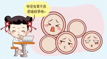 卵泡质量好不好怎么看?如何判断卵子质量好坏