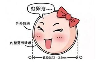 基础卵泡数量会增加吗?促排对基础卵泡有什么影响