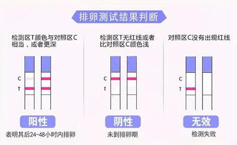 试管婴儿公司